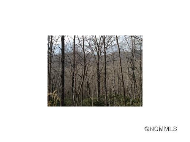 000 Maryland Place Road - Photo 1