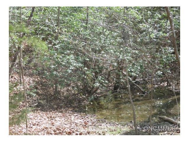 Lot 81 Winesap Blvd - Photo 1