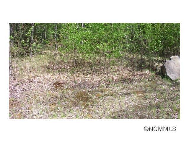 25 Jonathan Trail - Photo 1