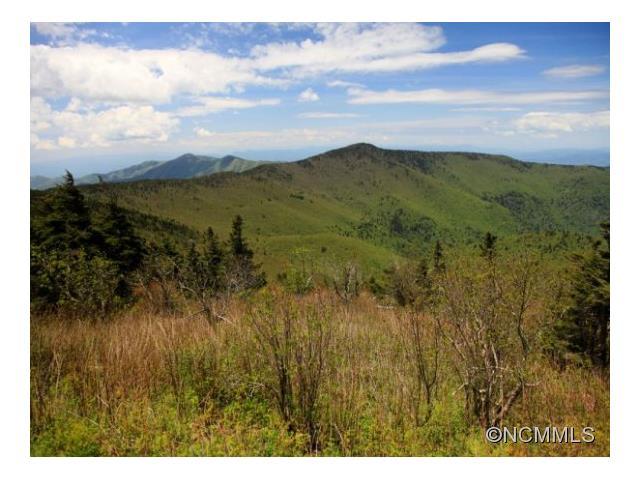 000 Wilson Boundary Road (32 Ac) Road - Photo 1