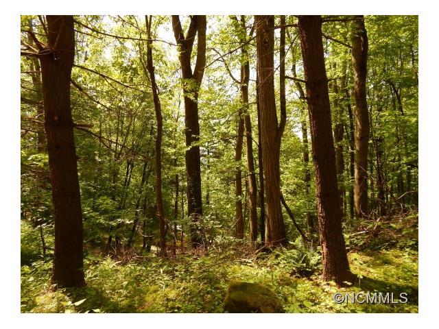 00 Vireo Lane - Photo 1