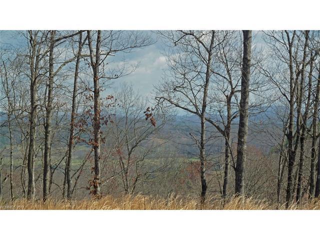 32 Wild Iris Road - Photo 1