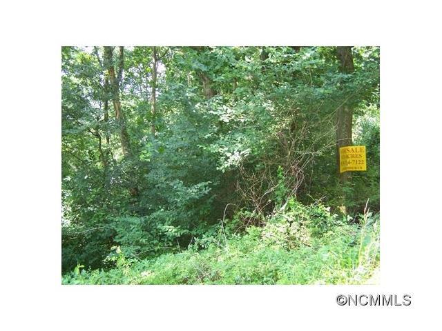 000 Muckle Cove Road - Photo 1