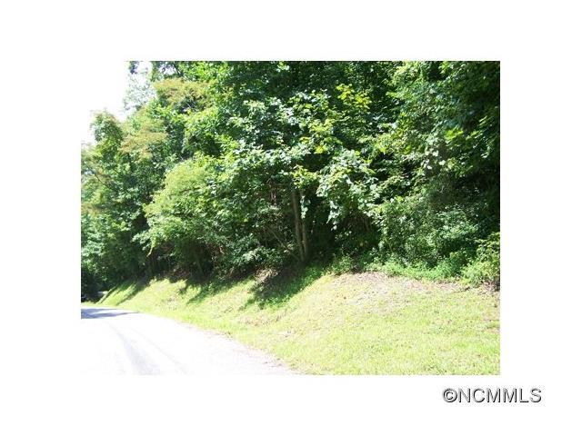 Lot 275 Eagles Nest Road - Photo 1