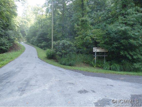 000000 Forest Brook Drive - Photo 1