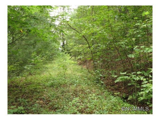 Lot 3, Gardner Lane - Photo 1