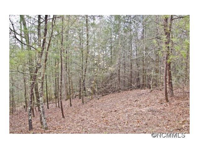 1057 Thomas Branch Road - Photo 1