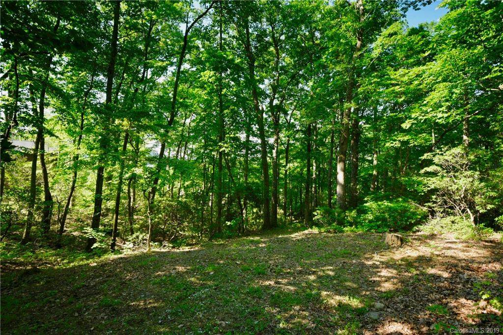 1117 Timberbluff Way - Photo 1