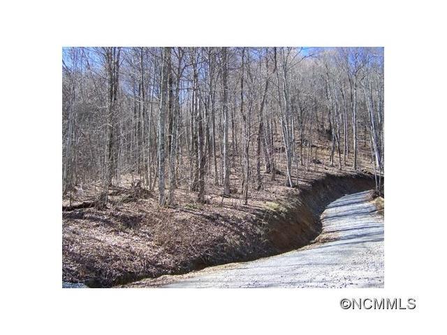 000 Serenity Mountain Road - Photo 1