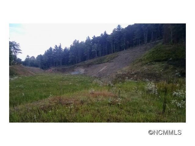 99999 Mills Gap @ Burney Mtn Road - Photo 1