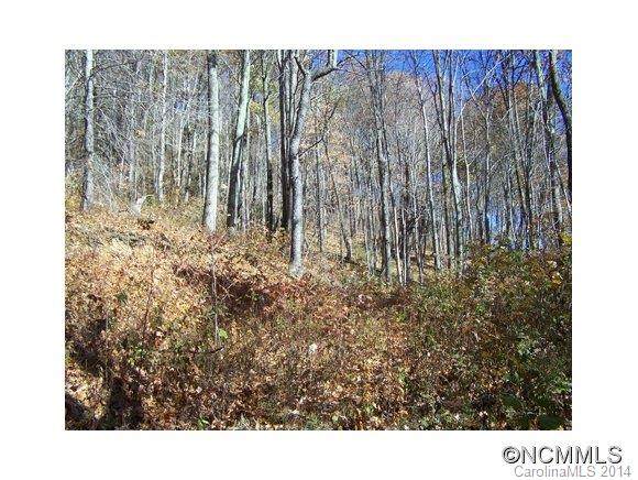 Lot 334 Living Good Lane - Photo 1