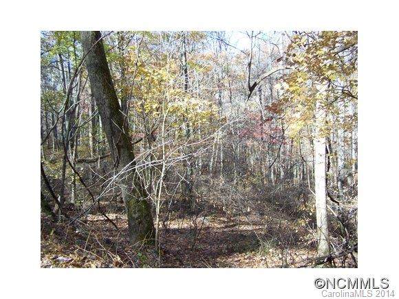 Lot 48 Whispering Woods Path - Photo 1