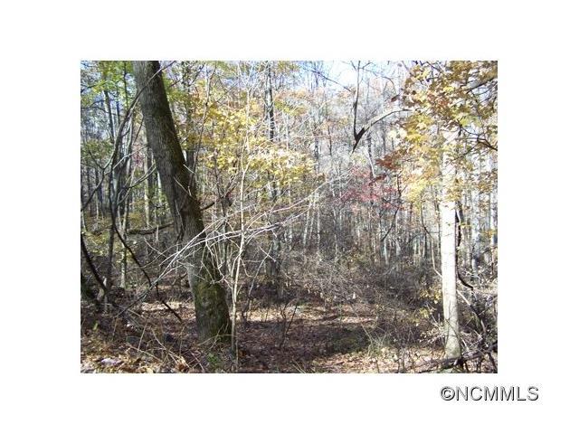 Lot 48 Whispering Woods Path - Photo 1