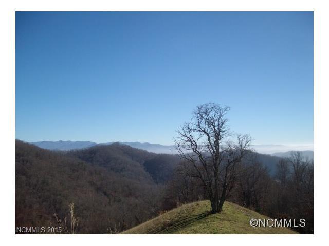00 Flynn Branch Road - Photo 1