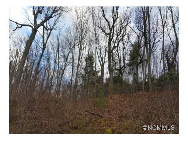 18 Copper Leaf Lane - Photo 1