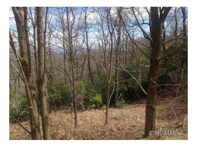 Lot 112 Homestead At Mills River - Photo 1