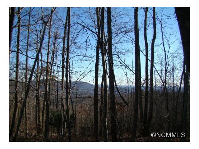 89 Adirondack Lane - Photo 1