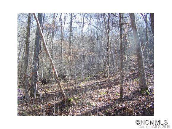 Lot 97 Whispering Woods Path - Photo 1