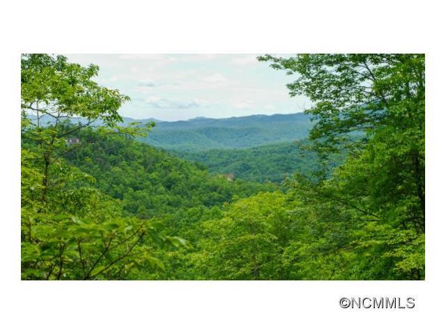 lot 12 Off Hollydale - Photo 1