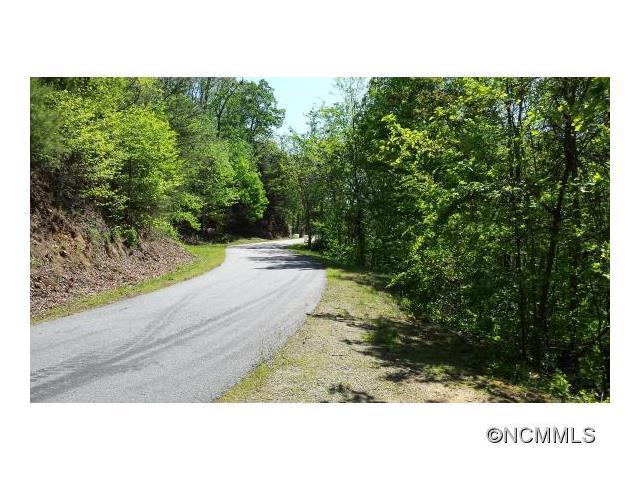 LOT 2 & 3 Hemlock Shoals Trail Trail - Photo 1
