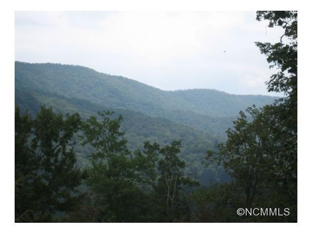LOT 116 Mayfly Lane - Photo 1