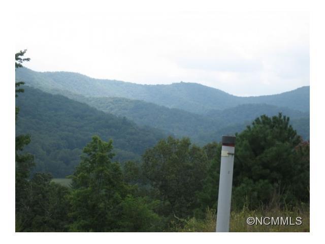 LOT 135 Watershed Way - Photo 1