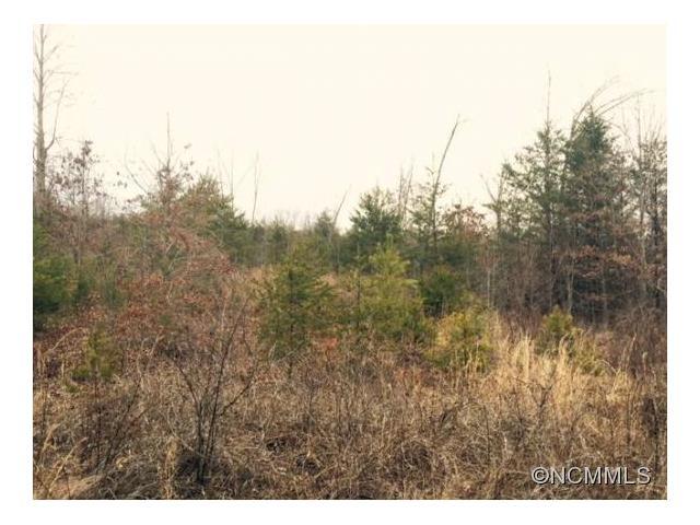 lot 39 Lake Haven Drive Drive - Photo 1