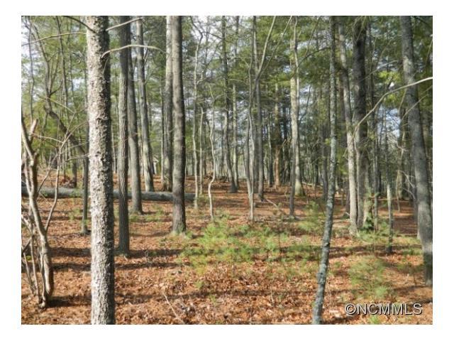 LOT 26 Cedar Hill Drive - Photo 1