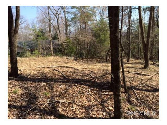LT 233 Quail Ridge Ridge - Photo 1