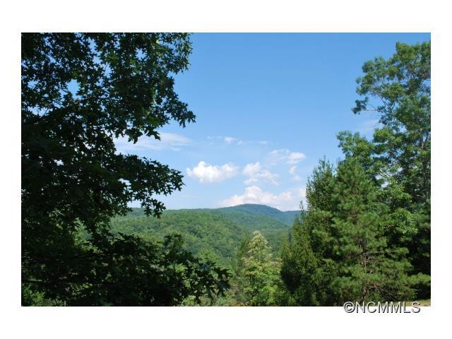 lot 1 Mine Mountain Preserve - Photo 1
