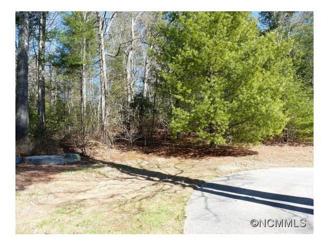 149 Chattooga Run - Photo 1