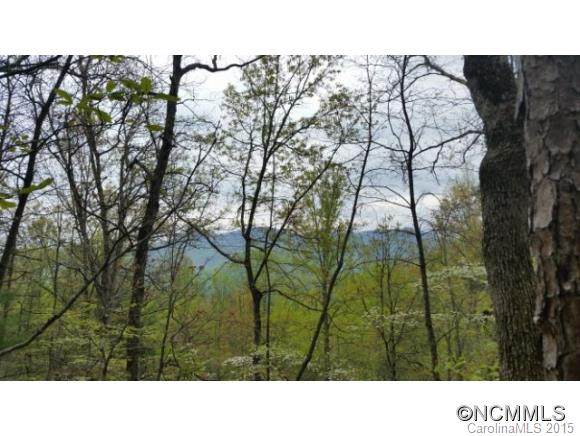 0000/279 Big Sandy Mush Road - Photo 1
