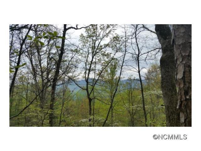 0000/279 Big Sandy Mush Road - Photo 1