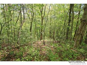 23 Oconee Bell Road - Photo 1
