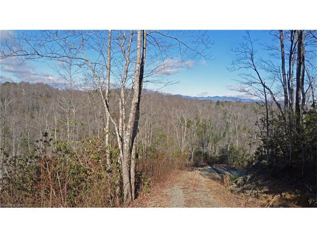 0 Harry Morgan Road - Photo 1