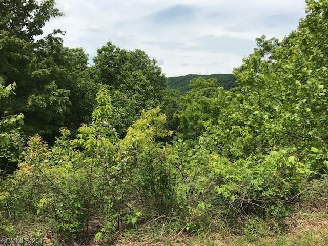 Lot 93 Catawba Falls Preserve Parkway - Photo 1