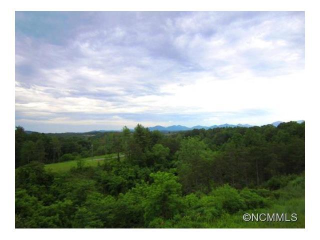 Lot #2 Big Rocky Top Drive - Photo 1