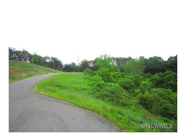 Lot # 9 & 10 Big Rocky Top Drive - Photo 1