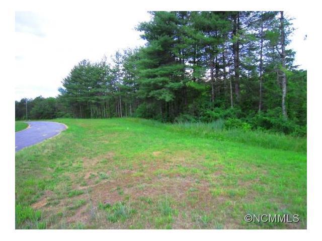 Lot # 14 South Pine Drive - Photo 1