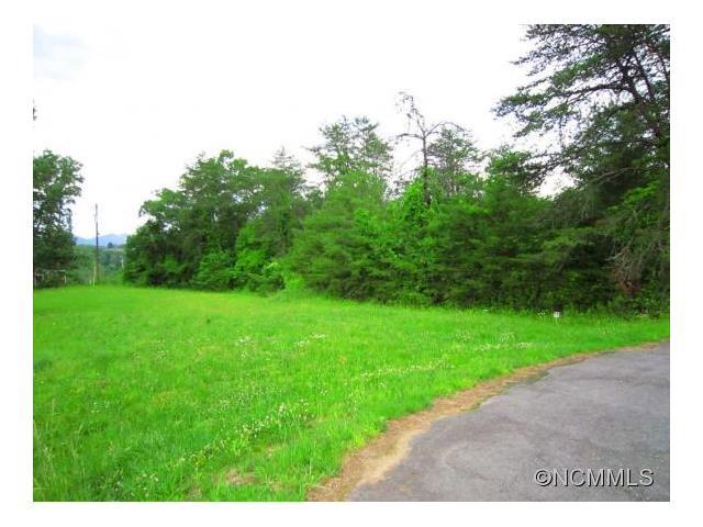 Lot # 17 South Pine Drive - Photo 1