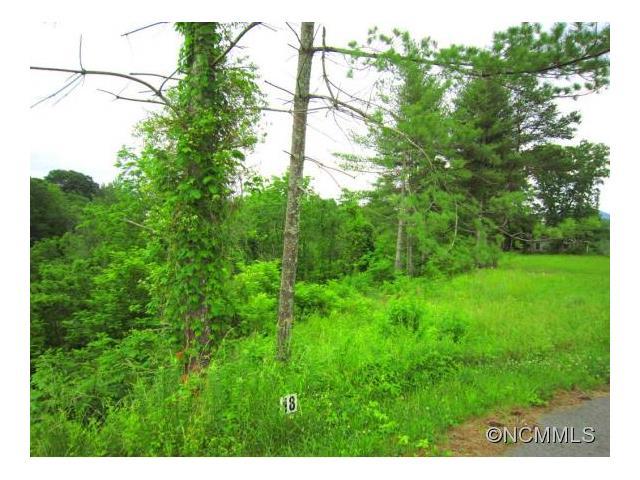 Lot # 18,19 & 20 South Pine Drive - Photo 1