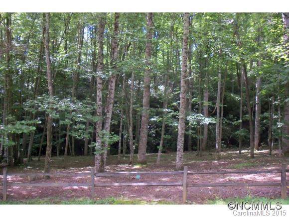 Lot 2 Brannon Forest Drive - Photo 1