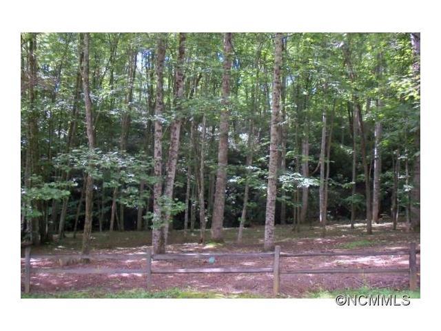 Lot 2 Brannon Forest Drive - Photo 1