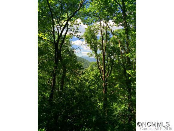Lot 317 Fairview Forest Drive - Photo 1