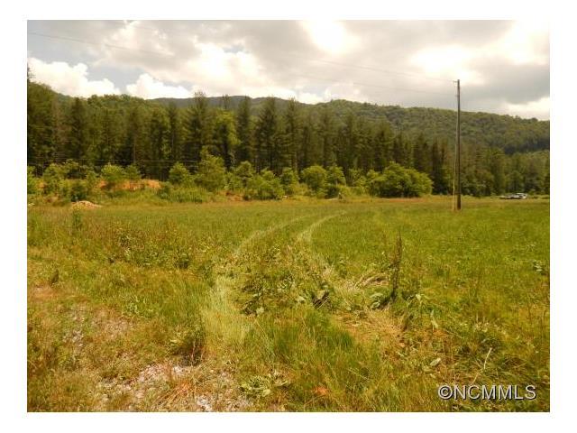 00 Lake Logan Road - Photo 1