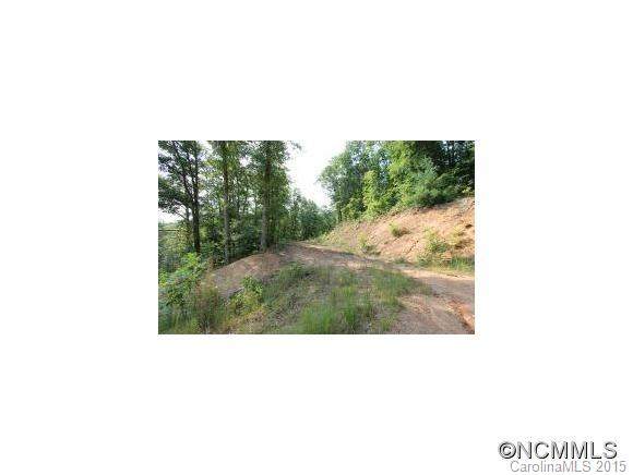 00 Mauney Cove Road - Photo 1