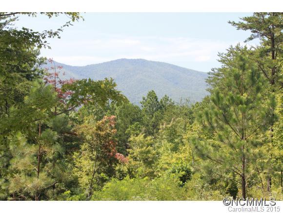9999 Pisgah Preserve Drive Drive - Photo 1