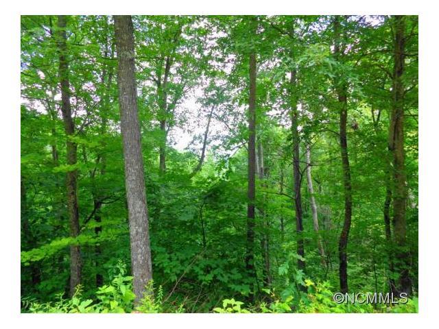 11 Heritage Ridge Loop - Photo 1