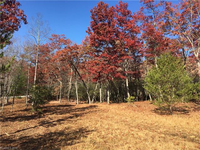 1905 White Tree Trail - Photo 1
