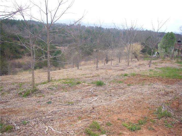 00 Bull Creek Road - Photo 1